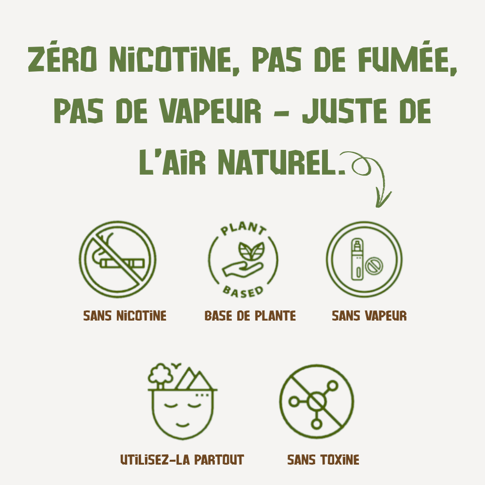 L’Inhaleur de Bienfait Naturel Sans Nicotine