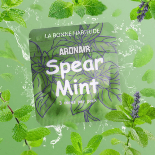 L’Inhaleur de Bienfait Naturel Sans Nicotine